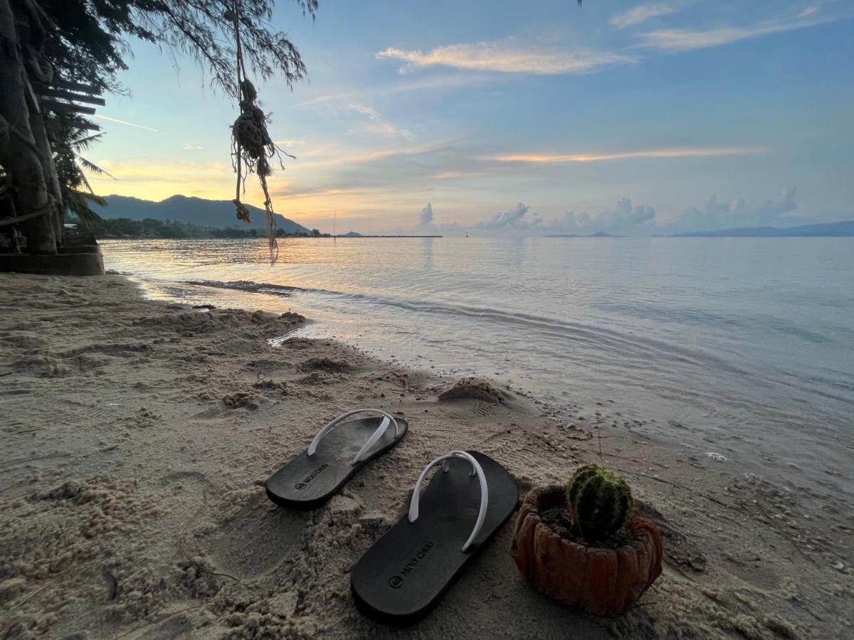 Phangan Dream Box Hotell Baan Tai Exteriör bild