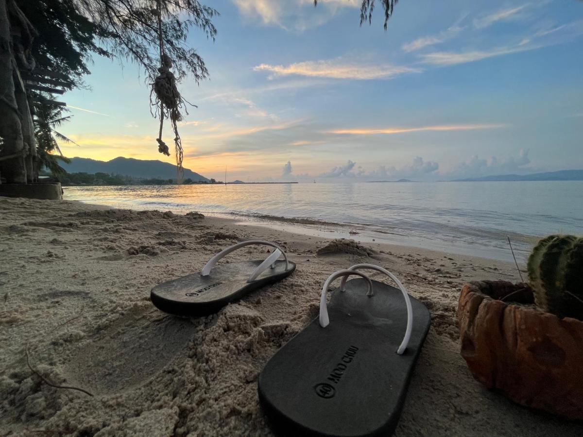 Phangan Dream Box Hotell Baan Tai Exteriör bild