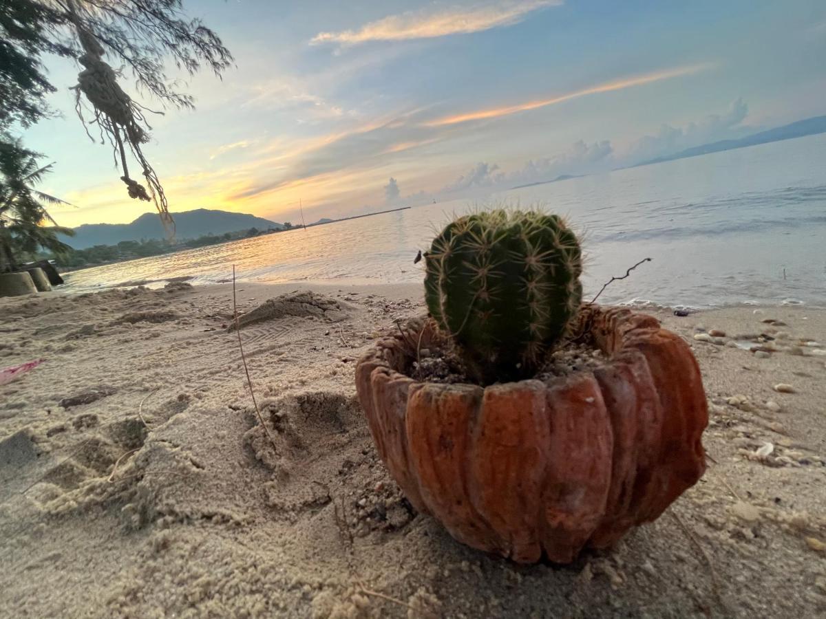 Phangan Dream Box Hotell Baan Tai Exteriör bild
