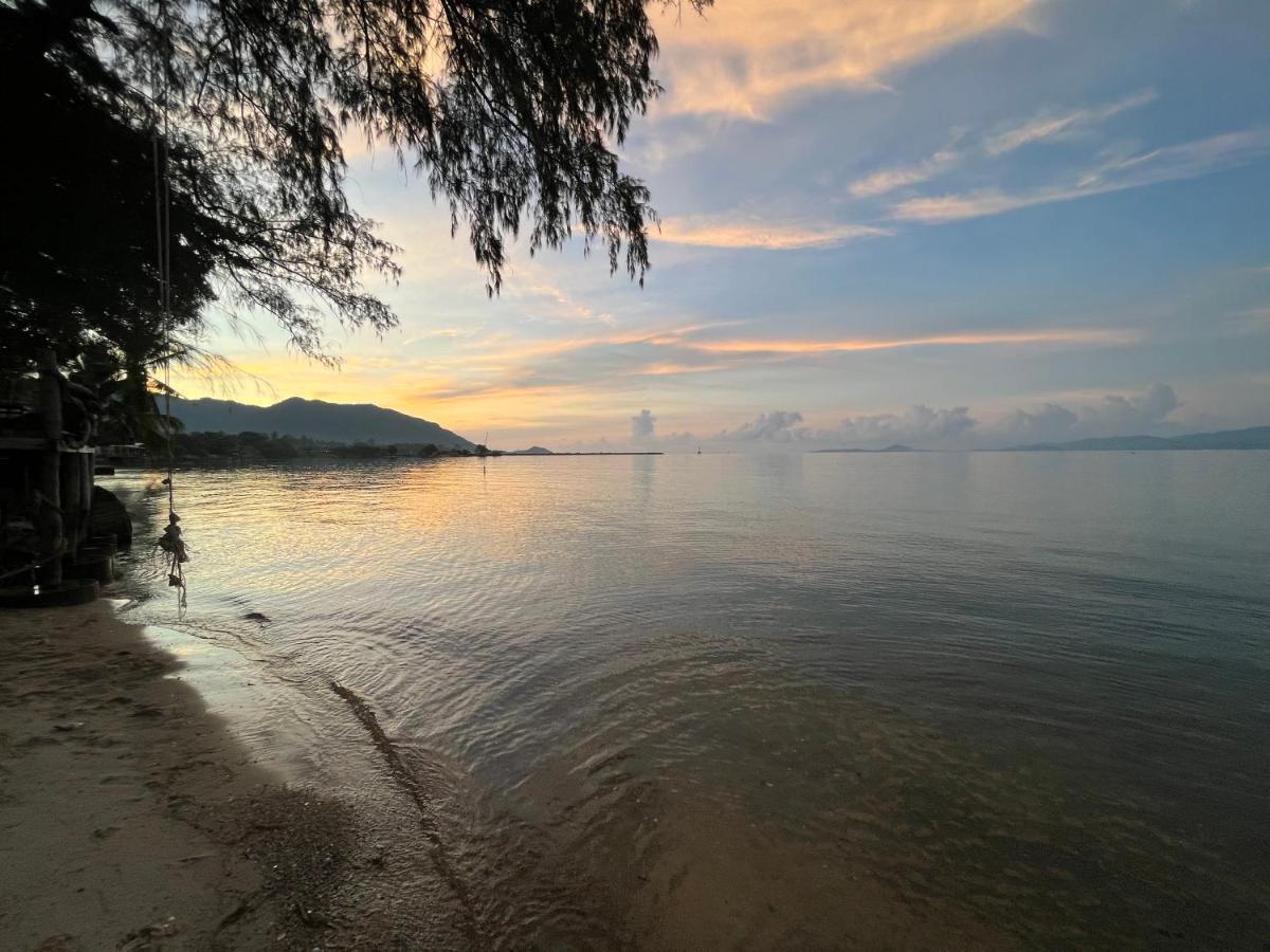Phangan Dream Box Hotell Baan Tai Exteriör bild