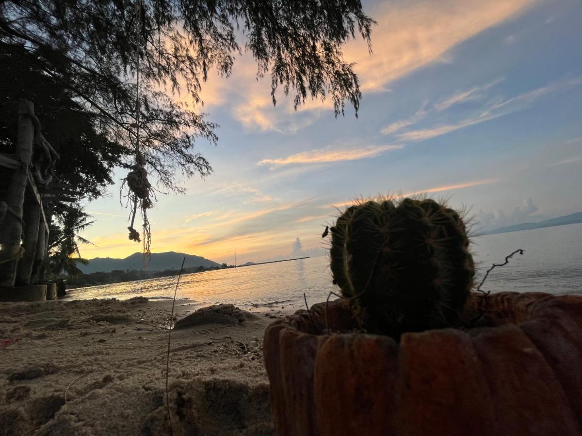 Phangan Dream Box Hotell Baan Tai Exteriör bild