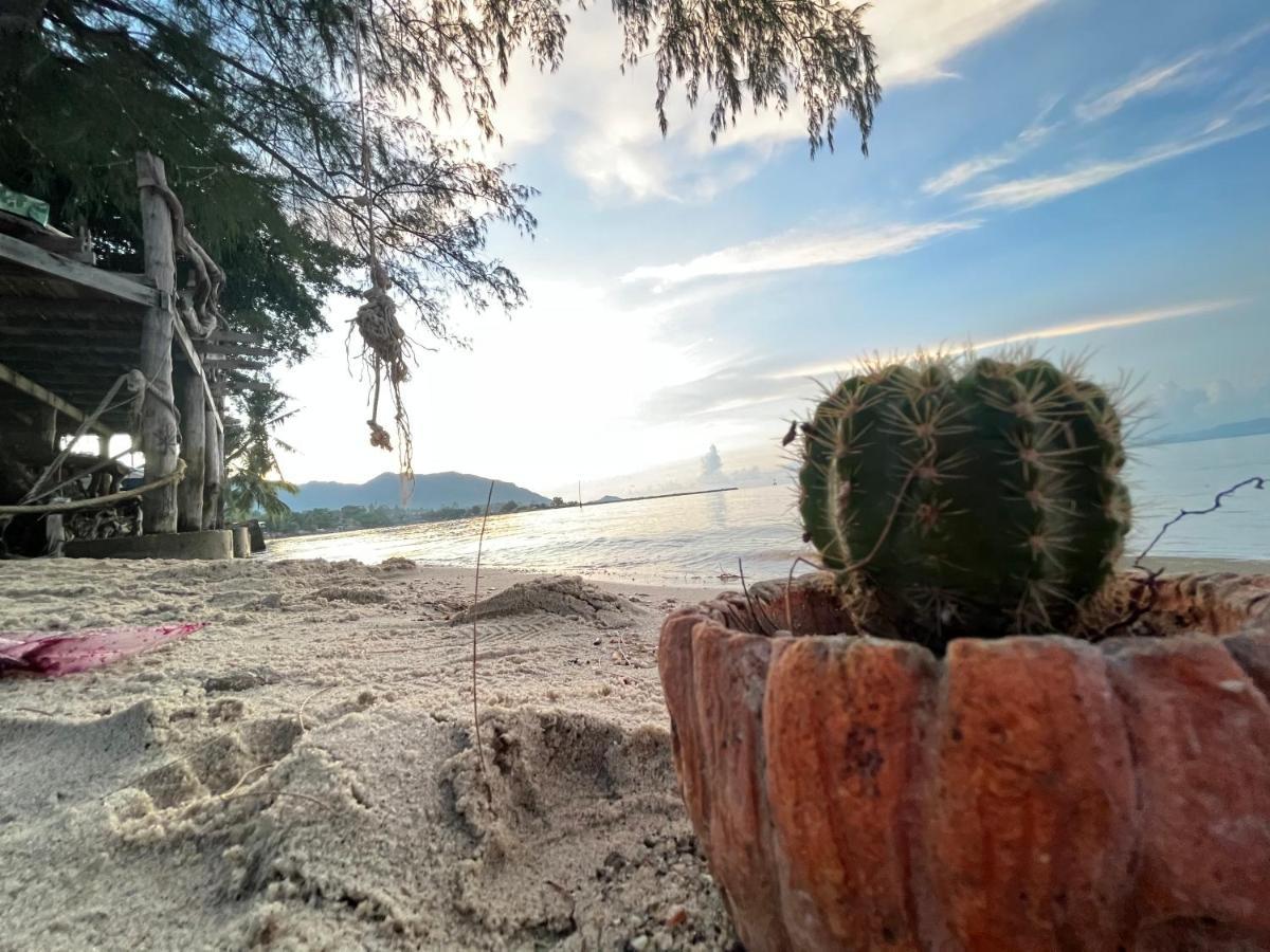 Phangan Dream Box Hotell Baan Tai Exteriör bild