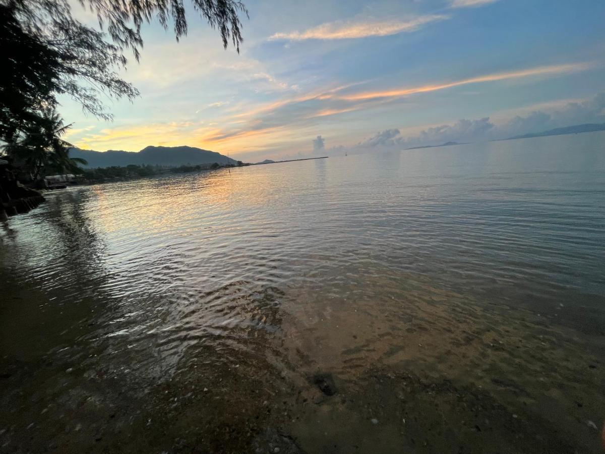 Phangan Dream Box Hotell Baan Tai Exteriör bild
