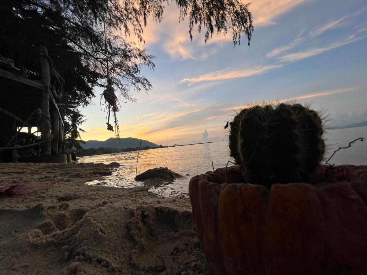 Phangan Dream Box Hotell Baan Tai Exteriör bild