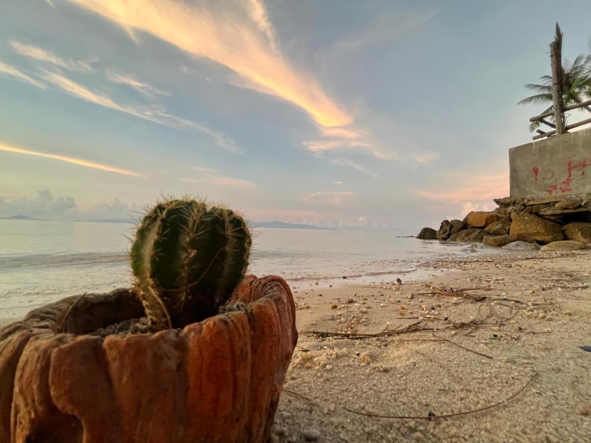 Phangan Dream Box Hotell Baan Tai Exteriör bild